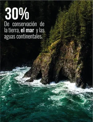 objetivo km1