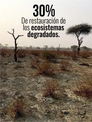 objetivo km3